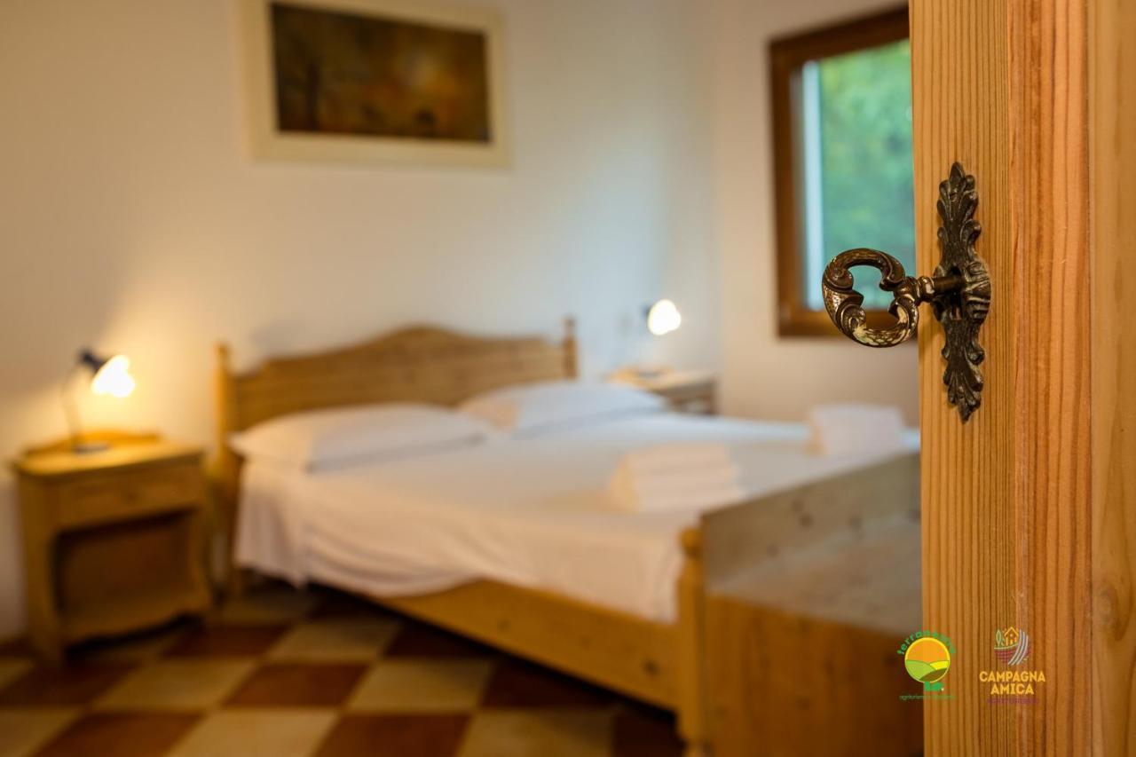 Апартаменты La Via Antiga Cittanova  Экстерьер фото